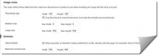 WordPress Image Size