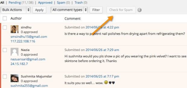 check WordPress comments for Spam