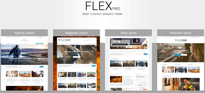 Flex pro Genesis Theme