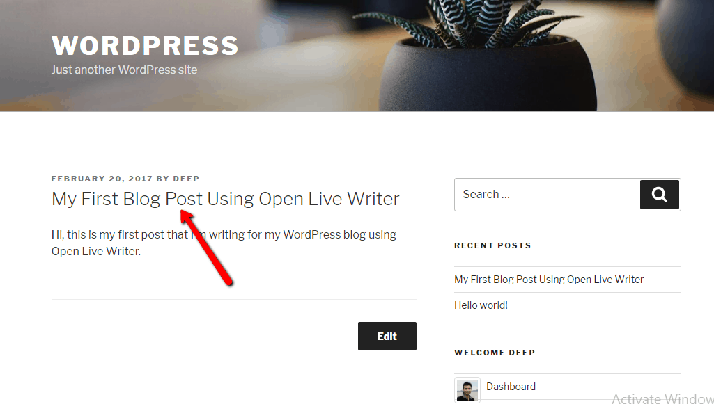 Post on WordPress Website